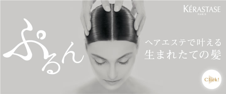 こんな方におすすめ「髪よみがえるヘアエステ」