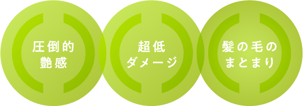 圧倒的艶感 超低ダメージ 髪の毛のまとまり