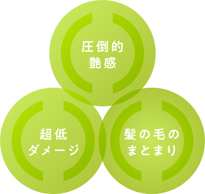 圧倒的艶感 超低ダメージ 髪の毛のまとまり