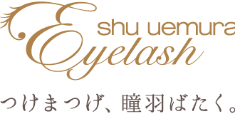 マニッシュモード