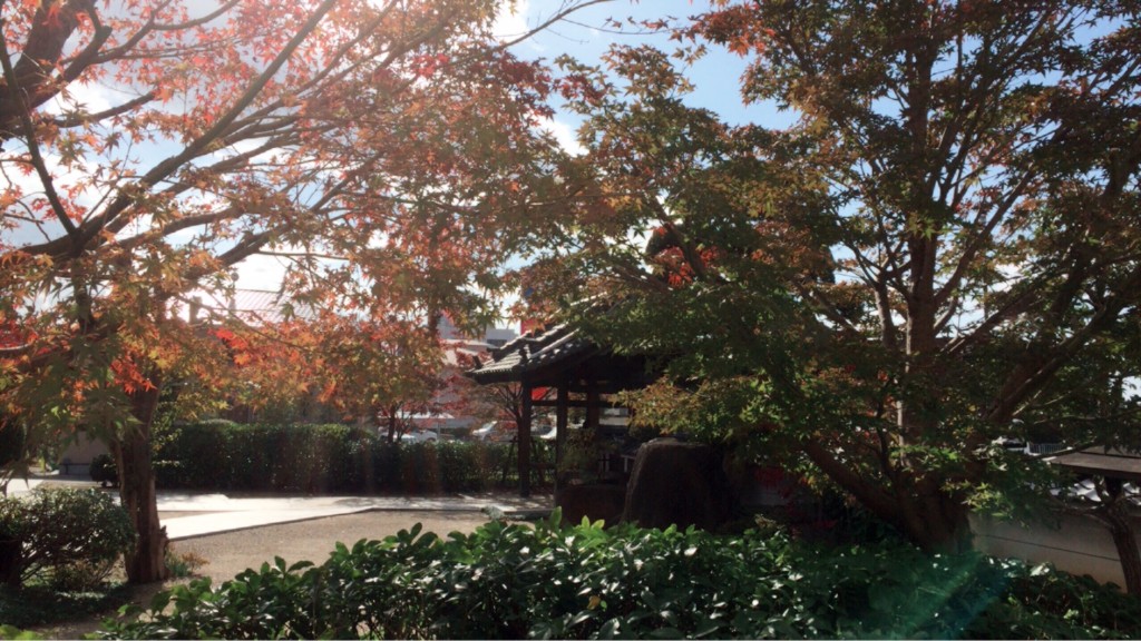 7EB2019A-855B-4C62-90D4-1BEBFB14169C